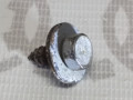 Cаморез шестигранный 6,5X16 VAG 311821143 на Ауди 80 B2 купить с разборки в Самаре по цене 35 ₽