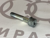 Винт с внутренним шестигранником VAG N0147152 N0147154 на Ауди 80/90/100/A6 B3, C4, B2